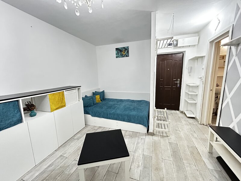 Colentina, Teiul Doamnei, Facultatea de Constructii